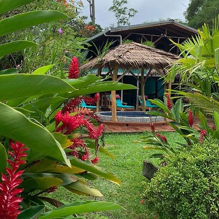 カウイータ Casa Mambo Bed & Breakfast エクステリア 写真