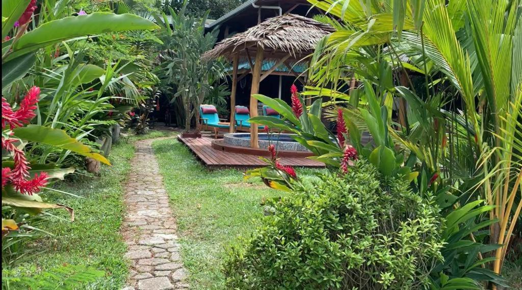 カウイータ Casa Mambo Bed & Breakfast エクステリア 写真