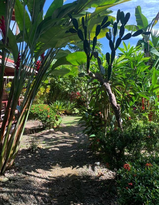 カウイータ Casa Mambo Bed & Breakfast エクステリア 写真