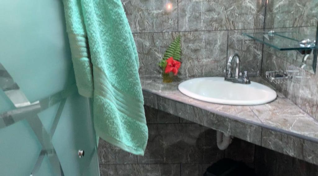 カウイータ Casa Mambo Bed & Breakfast エクステリア 写真