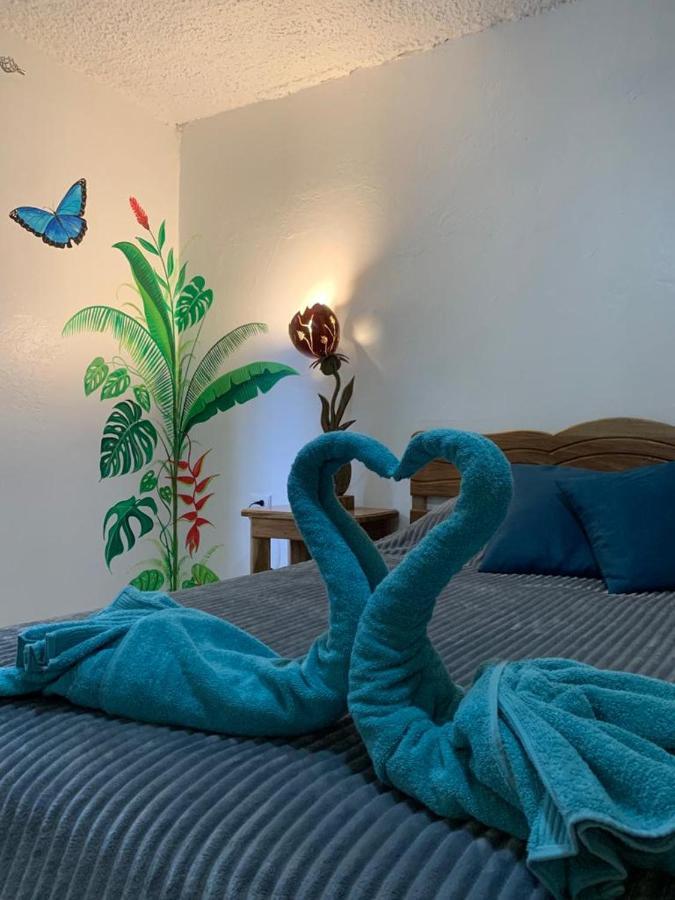 カウイータ Casa Mambo Bed & Breakfast エクステリア 写真