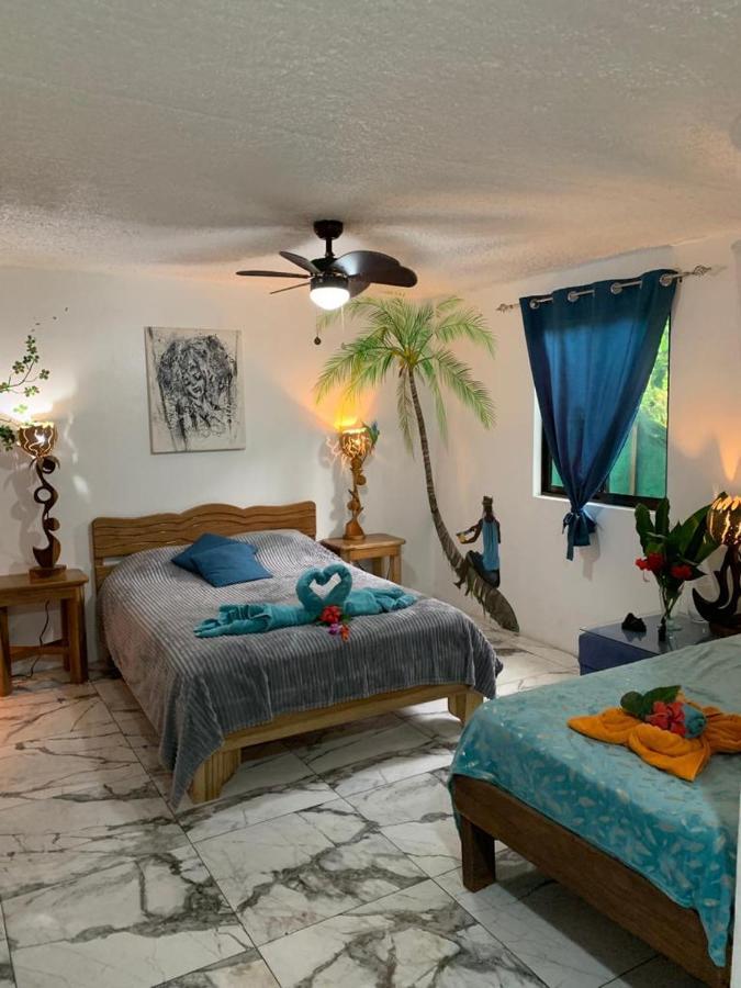 カウイータ Casa Mambo Bed & Breakfast エクステリア 写真